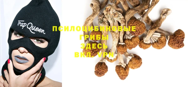 spice Алексин