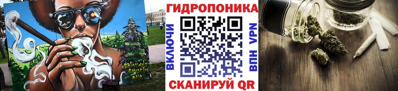 где можно купить   Перевоз  Бошки Шишки OG Kush 